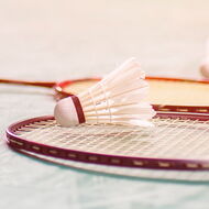 Badminton beim TV Seeheim