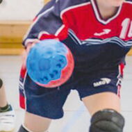 Handball beim TV Seeheim